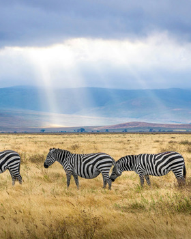 escapadela-de-fim-safari.jpg