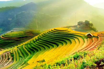 Vietnam