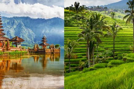 Bali e Ubud