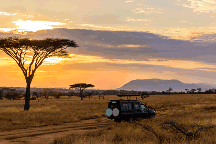 Safari-Kruger