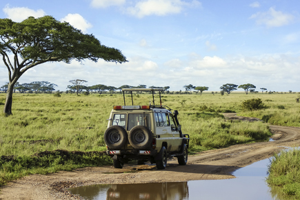 Safari_Quenia1