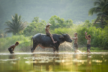 vietnam-essencial_1.jpg