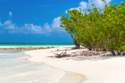 combinado-havana-cayo-coco-pt-lr-14932_1.jpg