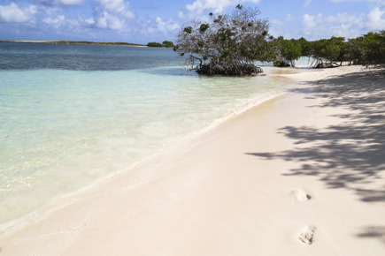 combinado-trinidad-cayo-santa-maria-pt-14932_1.jpg